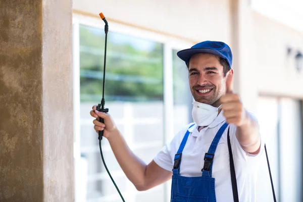 Pharr Wasp Removal