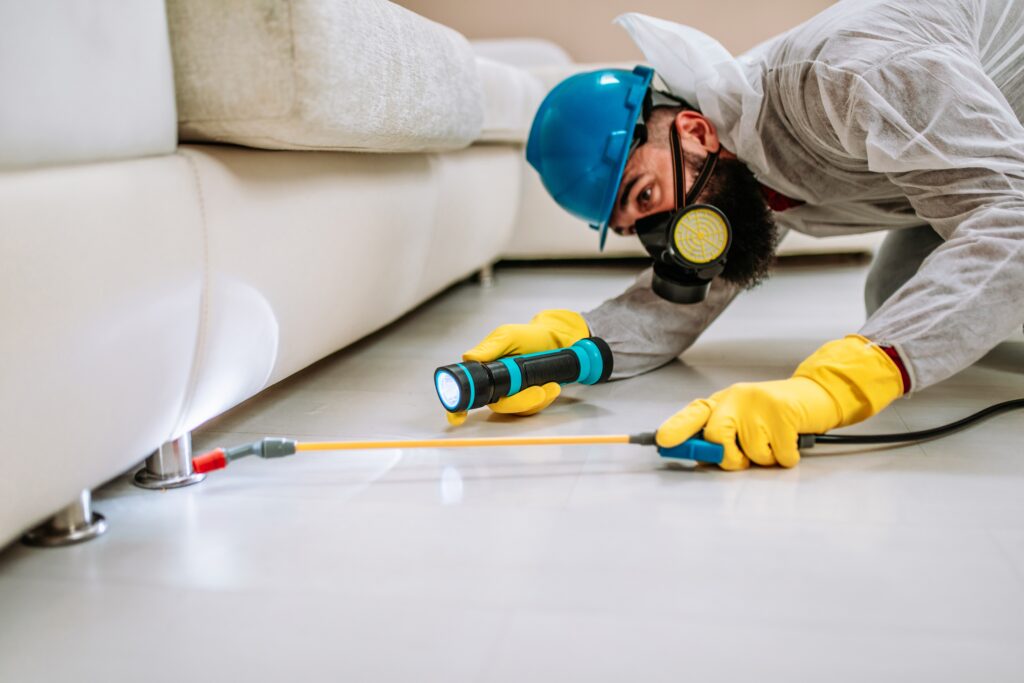 Pharr Termite Control