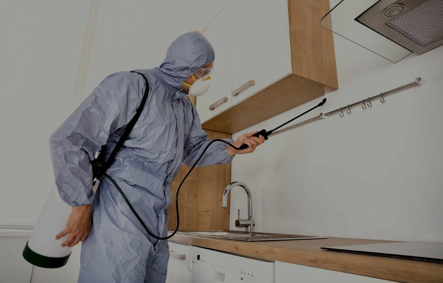 Pharr pest managment